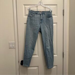 Everlane Curvy Cheek Jean